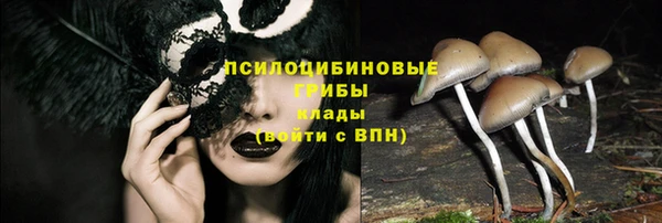 хмурый Горно-Алтайск