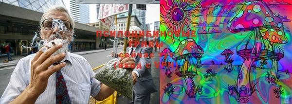мдма Горняк