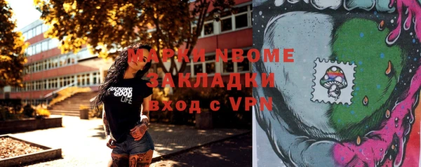 хмурый Горно-Алтайск
