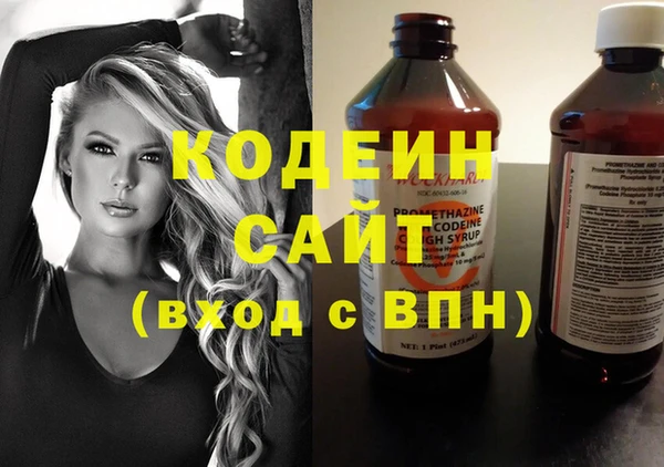 хмурый Горно-Алтайск
