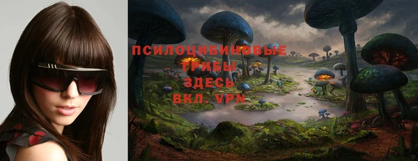 хмурый Горно-Алтайск